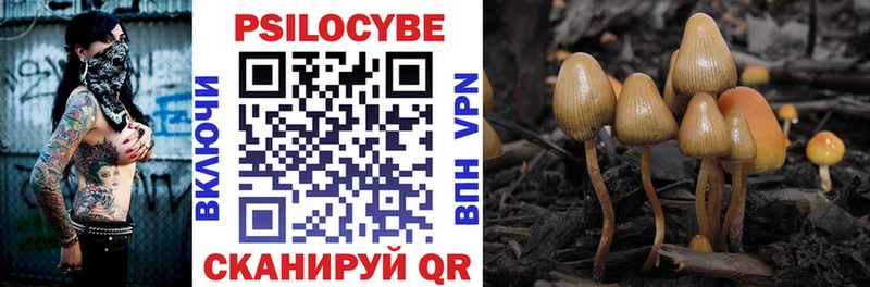 darknet какой сайт  Волжский  Псилоцибиновые грибы Magic Shrooms 